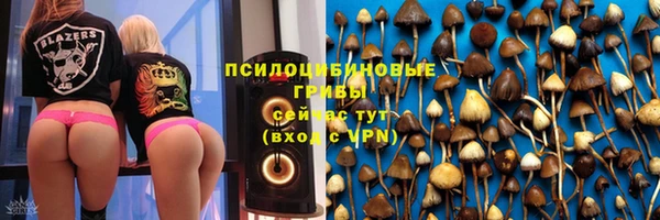 гидропоника Покровск