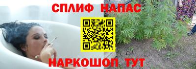 соль ск Свободный