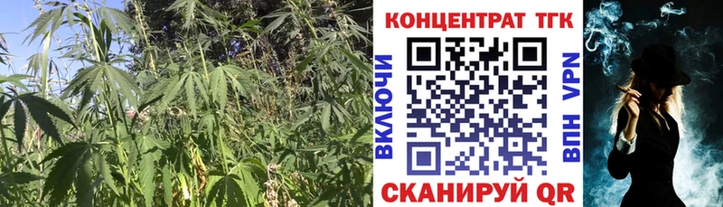 сайты даркнета как зайти  Волхов  Дистиллят ТГК THC oil 